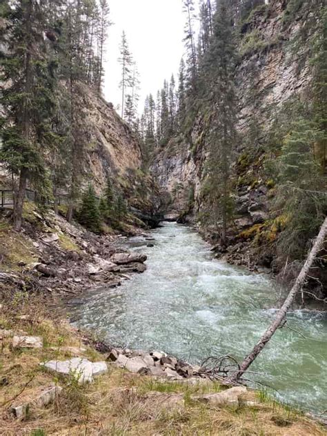 Must-Know Guide About Johnston Canyon: One of Banff’s Most Popular Hikes