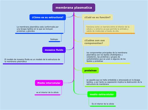 Membrana Plasmatica Mind Map