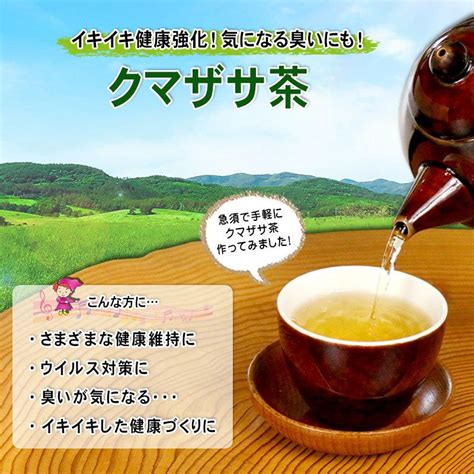 2 国産 クマザサ茶 3g×35p 北海道・岩手県産 熊笹茶 くまざさ茶 自然栽培・残留農薬検査済 北海道 沖縄 離島も無料配送可 森の