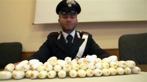 Ndrangheta Arresti Per Narcotraffico Europa