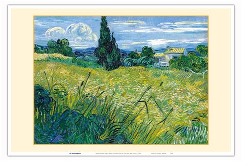 Wheatfield With Cypresses Original