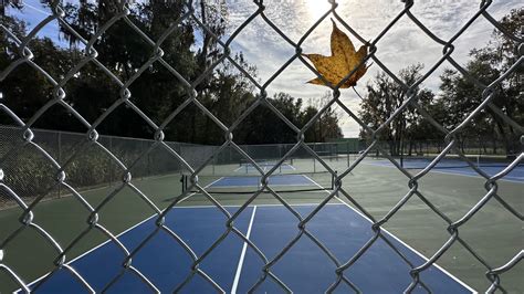 Volusia clerk of courts records reveal interesting local legal trends 10