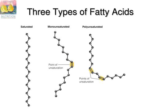 PPT Chapter 5 The Lipids Fats Oils Phospholipids And Sterols