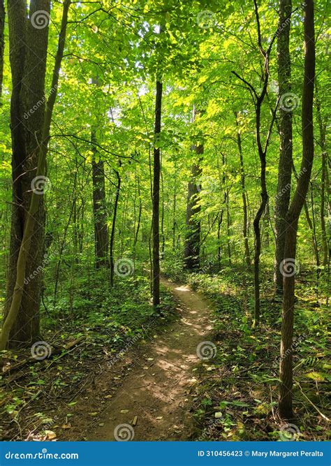 A Bike Trail In Petersburg Ontario Stock Image Image Of Leaves