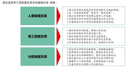 才博国企混改和三项制度改革解决方案才博咨询肇庆有限公司