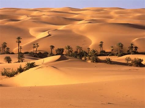 Ecología El Desierto En México