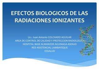 Efectos Biologicos De Las Radiaciones Ionizantes Juan Colchado PPT