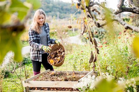 Compost 5 Secrets To Composting At Home Food Revolution Network