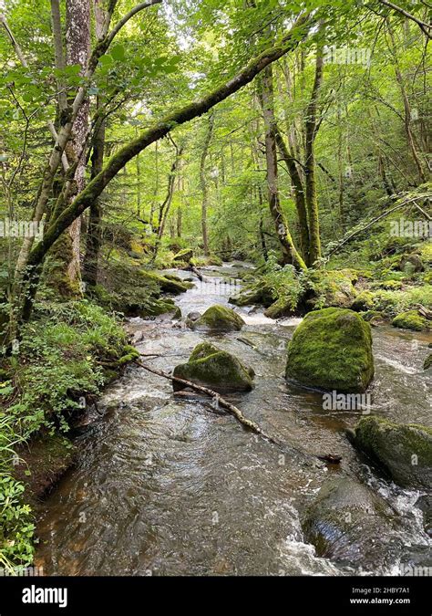 Puy de monne fotografías e imágenes de alta resolución Alamy