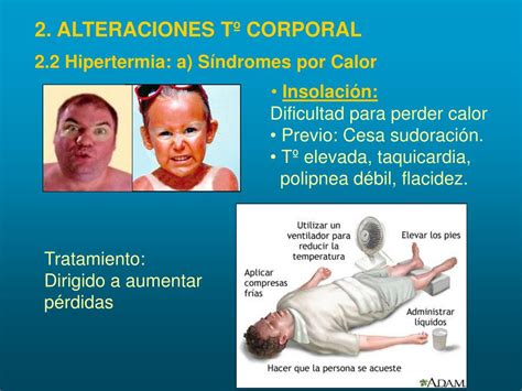 Ppt Alteraciones De La Temperatura Corporal Powerpoint Presentation