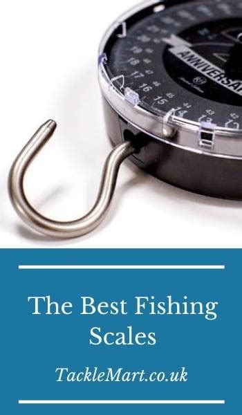 6 Best Fishing Scales Updated Guide For