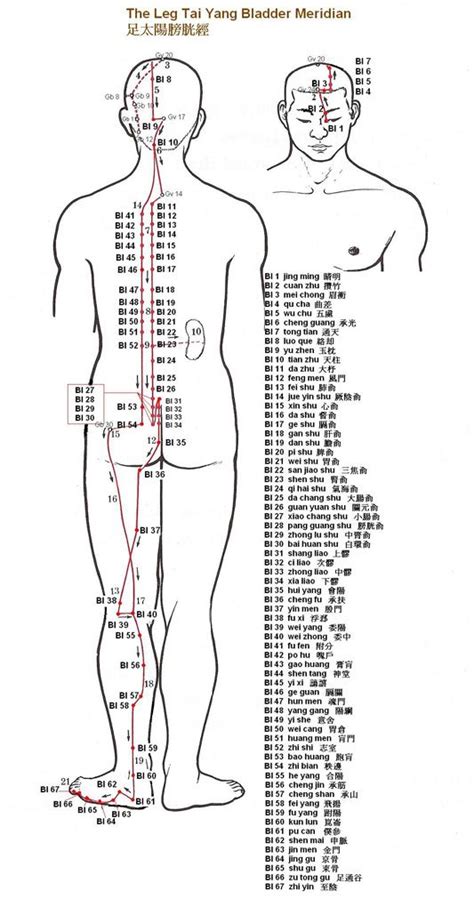 Printable Acupressure Points Chart