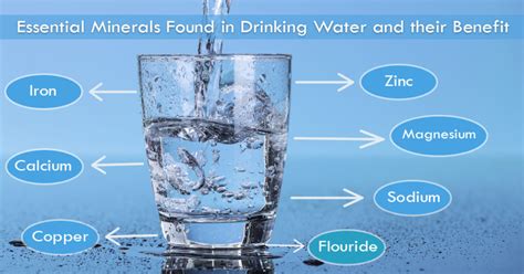 Essential Minerals Found In Drinking Water And Their Benefits Aquavita