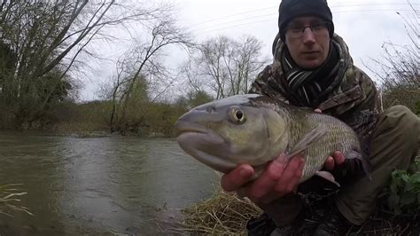 Chub Fishing On The River Great Ouse YouTube