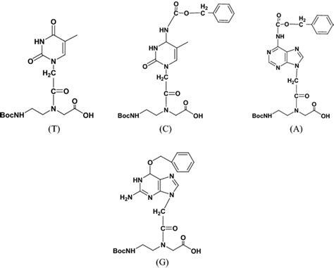 Molecular Structures Of Four Kinds Of Nucleobase Derivatives Download Scientific Diagram