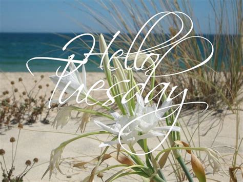 Happy Tuesday Coastal Lovers ~ Tuesday Quotes Hello Tuesday Happy