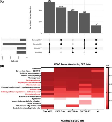 Differential Gene Expression Signatures Based On Genotype And Sex All