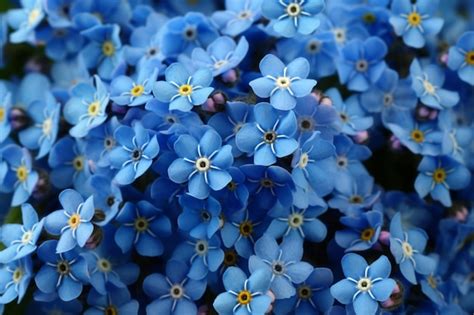 Premium Ai Image Blue Flowers With A Yellow Center