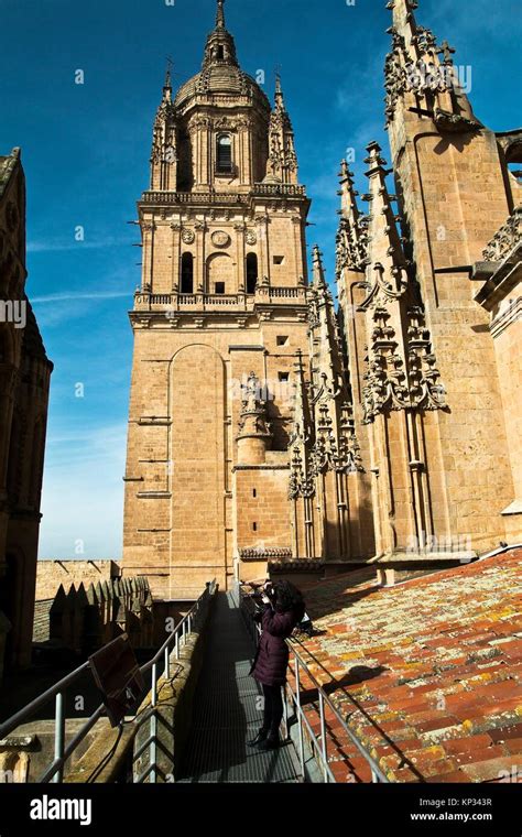 Torre de la Catedral Nueva Salamanca Castilla León España Europa