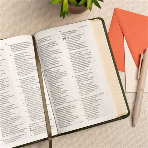 NASB Personal Size Bible Olive LeatherTouch B H Publishing