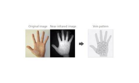 Palm Vein Recognition Identytech Solutions