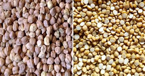 Chana Dal In Tamil Name 7 Benefits Side Effect Nutrient Price