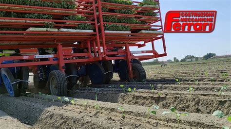 Ferrari Fmax Transplanter Cabbage Transplant Youtube