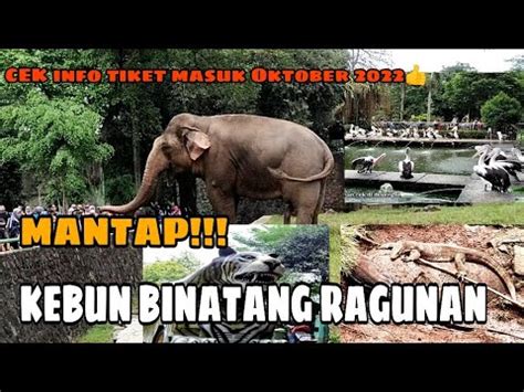 Tambah Seru Kebun Binatang Ragunan Info Tiket Masuk Terbaru Oktober