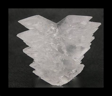 Selenite Gypsum Large Fishtail Swallowtail Twin Crystal Etsy Gems