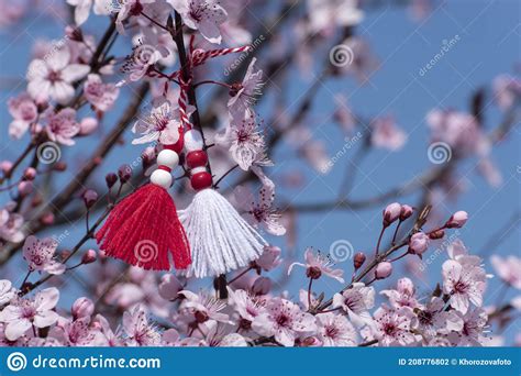 Martenitsa On Blossoming Tree Symbol Of Beginning Of Spring Bulgaria