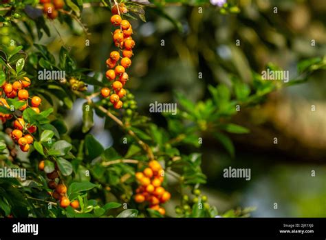 Gezogener Tropfen Fotos Und Bildmaterial In Hoher Aufl Sung Alamy