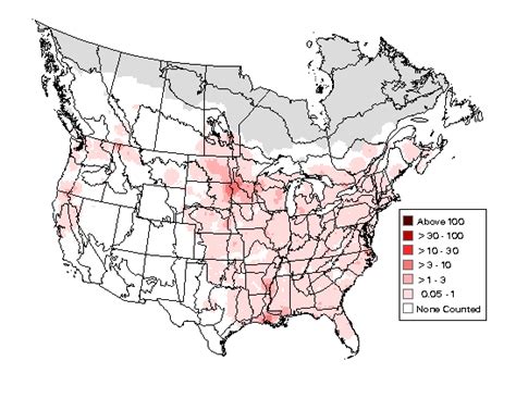 Wood Duck : Minnesota Breeding Bird Atlas