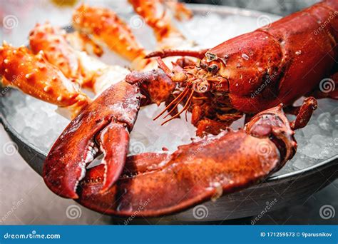 Close Up View of Lobster Claws. Stock Image - Image of gourmet, claw ...