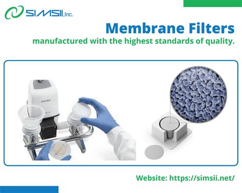 Blog Discover Different Types Of Membrane Filters And Their