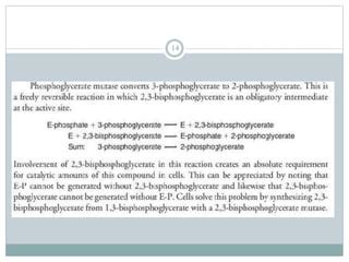 Carbohydrate Metabolism (Glycolysis).pptx