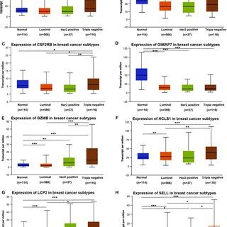 Representative Immunohistochemistry Staining For Eight Immune Related