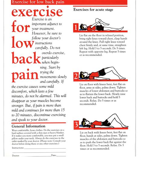 Famous Low Back Pain Exercise Pdf Ideas - Satu Trik