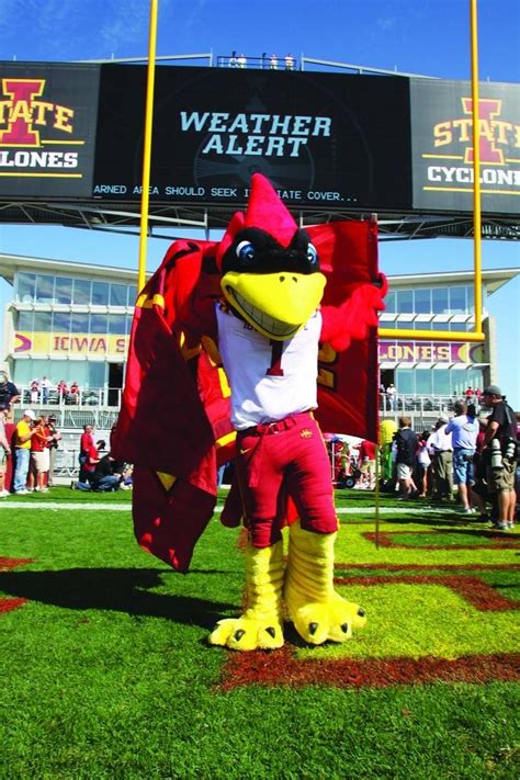 24 best images about Iowa State University Cyclones on Pinterest