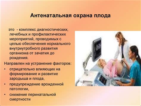 Плод как объект родов. Антенатальная охрана плода. Перинатальная ...