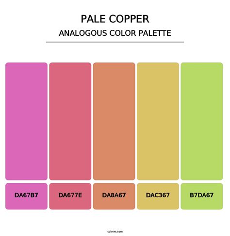 Pale Copper Color Palettes