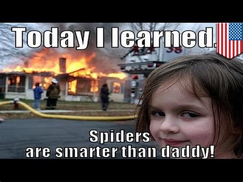 Spider Meme Burn House