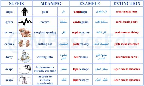 المصطلحات الطبية الانجليزية مدونة طالب طب سعودي