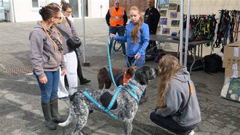 Vaux Le P Nil Animaux Vous Attendent La Spa Le Parisien