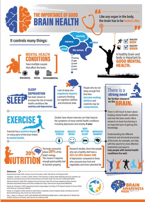 Infographic Mental Illness