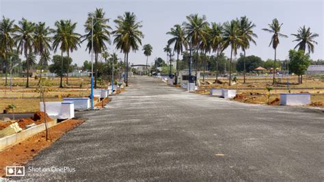 Residential Plot 1200 Sq Ft For Sale In Devanahalli Bangalore