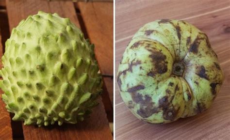 Atemoya vs Cherimoya - KitchenVile