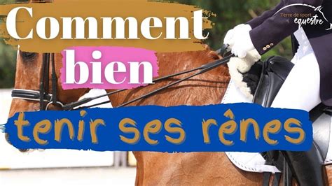 Comment Bien Tenir Ses R Nes Cheval Youtube