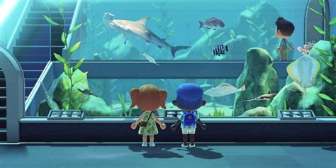 Animal Crossing New Horizons Everything To Know About The Museum