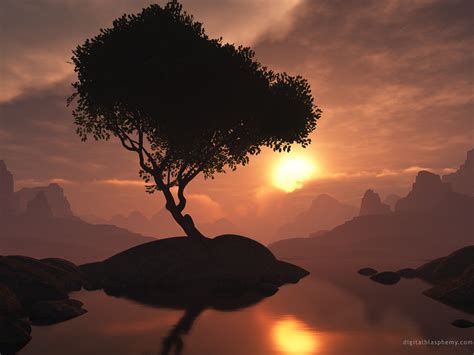 Wallpaper Sunlight Trees Landscape Digital Art Sunset Render