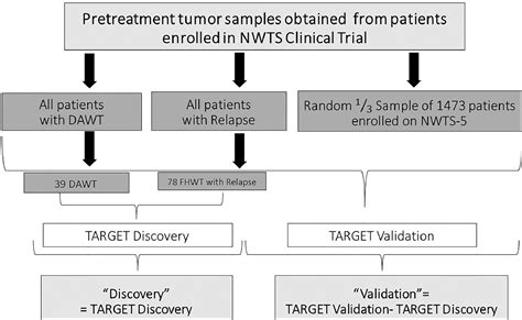 Race Disparities In Genetic Alterations Within Wilms Tumor Specimens